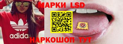 стафф Краснодар