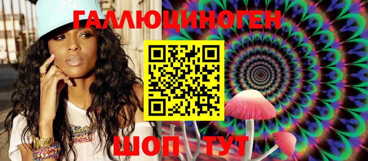 Псилоцибиновые грибы Psilocybine cubensis Сургут