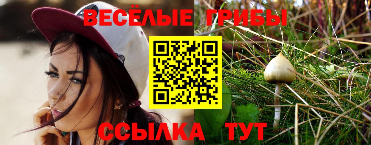 Псилоцибиновые грибы ЛСД  Вход с VPN  Сургут 